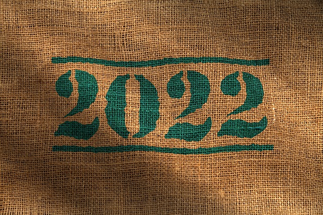 imagen-declaracion-de-la-renta-2022